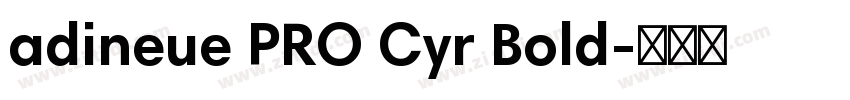 adineue PRO Cyr Bold字体转换